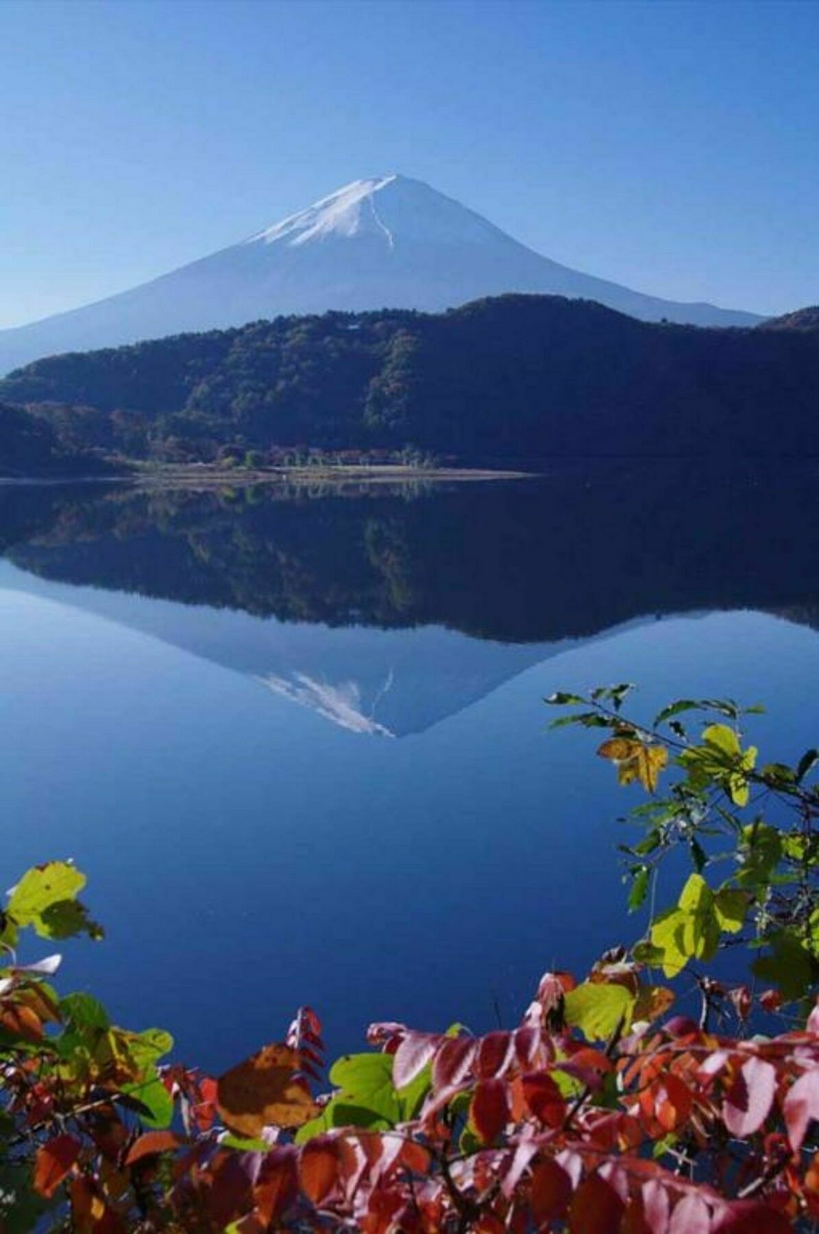 Villa Lupinus Kawaguchiko Fudžikawagučiko Exteriér fotografie